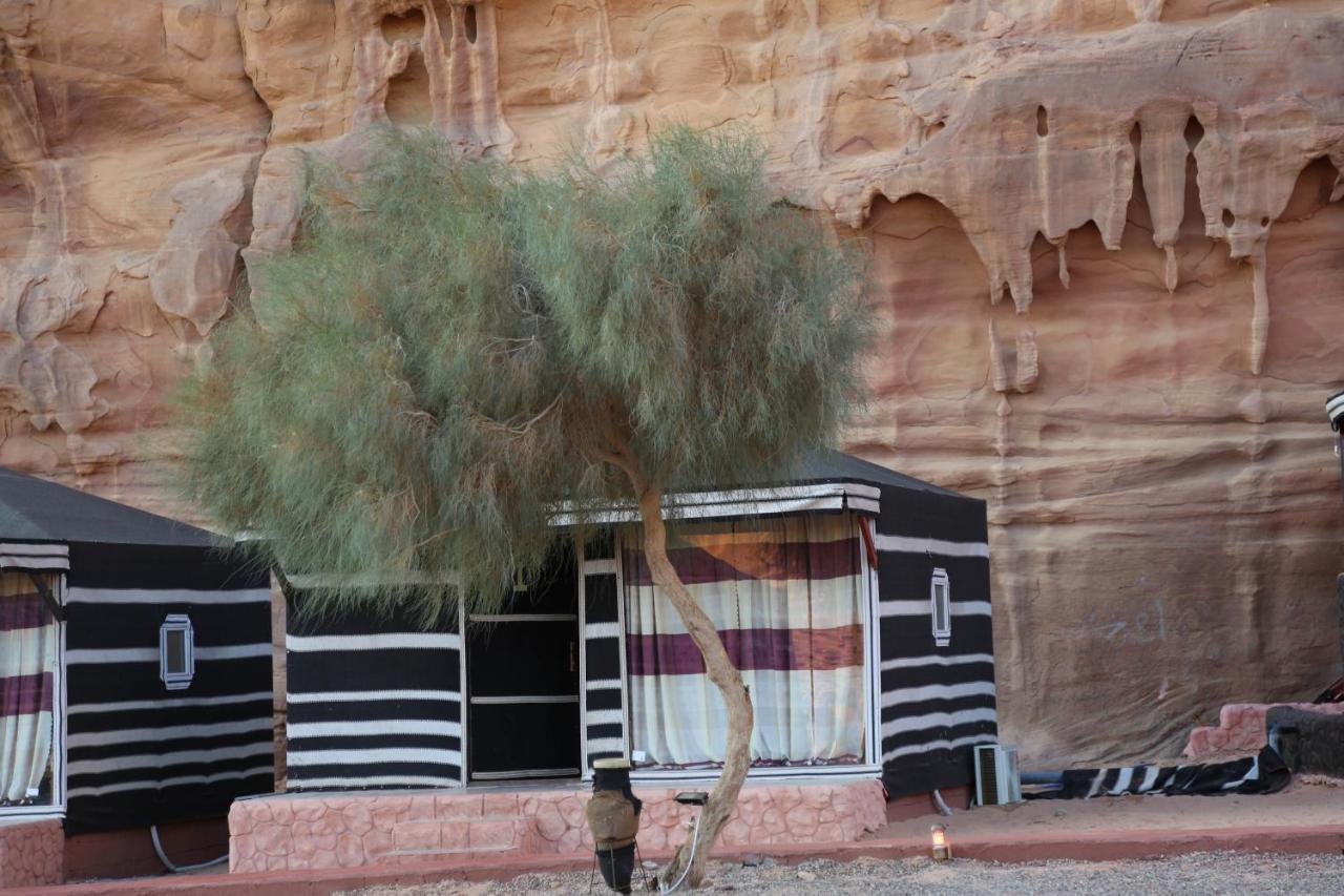 Arena Desert Camp&Adventurers Wadi Rum Eksteriør bilde