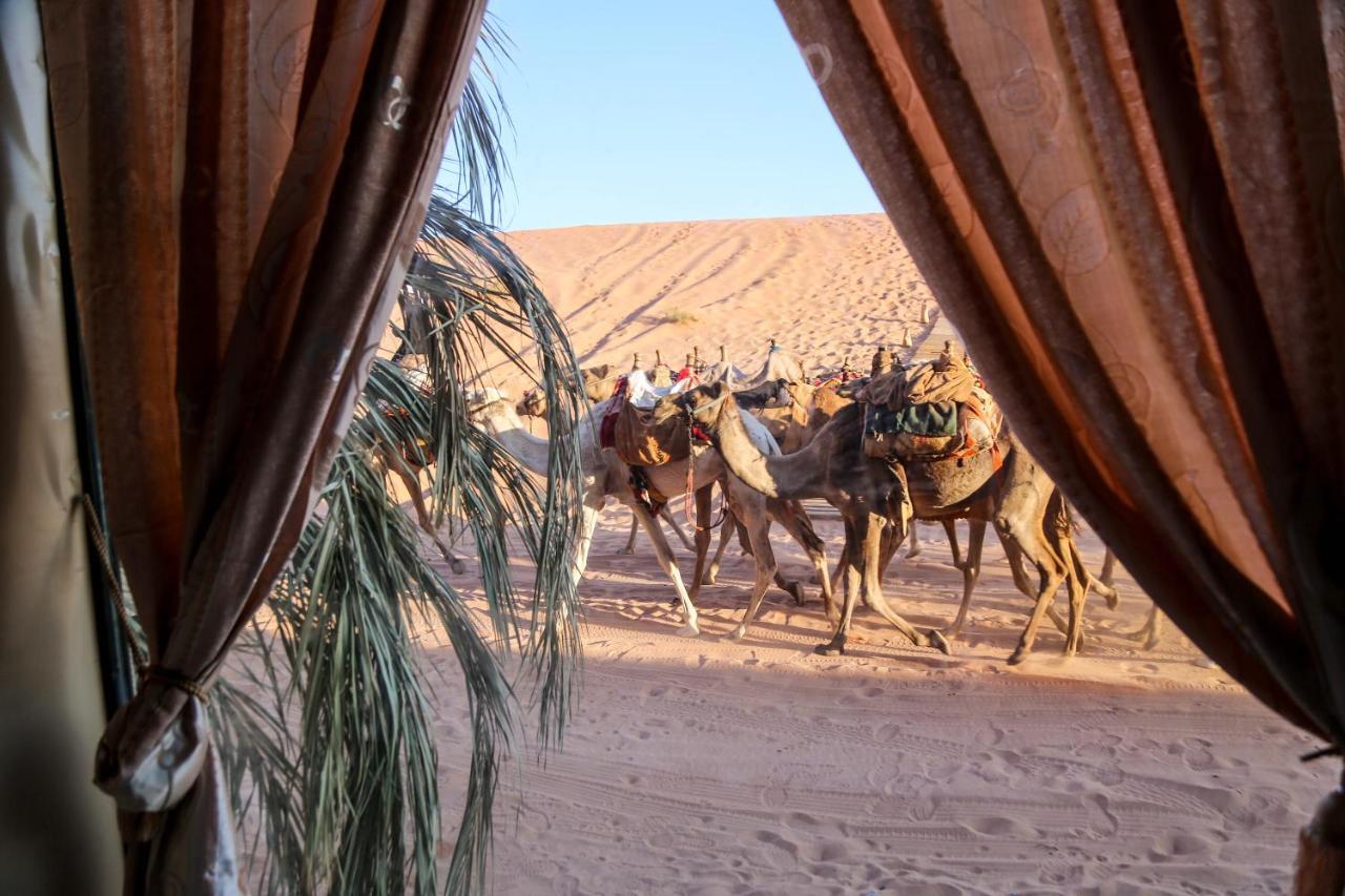 Arena Desert Camp&Adventurers Wadi Rum Eksteriør bilde